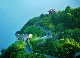 1546825685240689.jpg 2.jpg