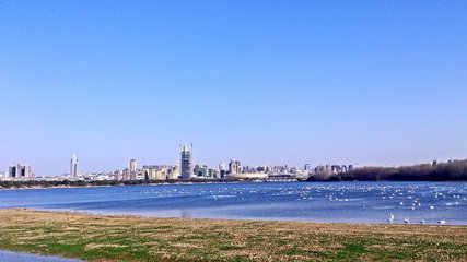 1547088464114627.jpg 1.jpg