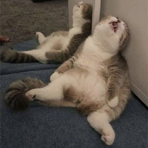 爆笑！遇上日本“靈魂翻譯”，身經(jīng)百戰的國乒高手都懵了