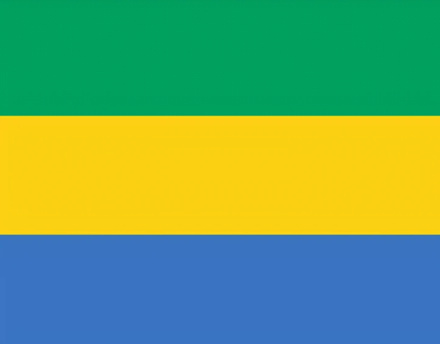 1683621438747604.png 加蓬.png